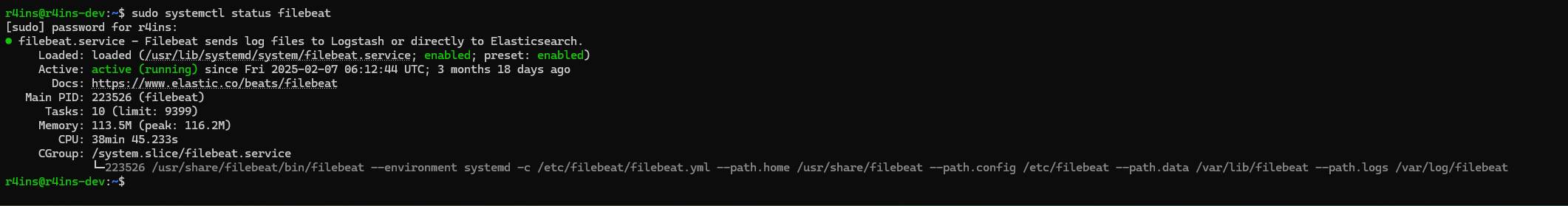 ELK stack Setup